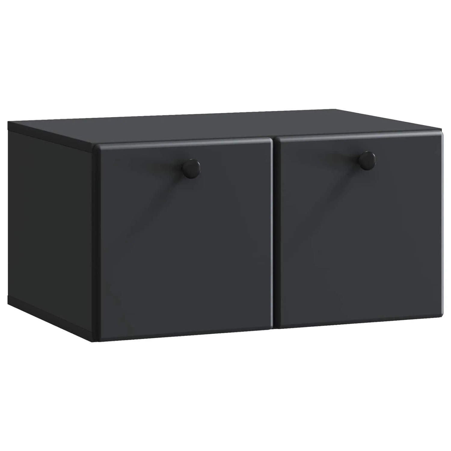 vidaXL Wandmontierter TV-Schrank Schwarz 59,5 x 41 x 30 cm 899186