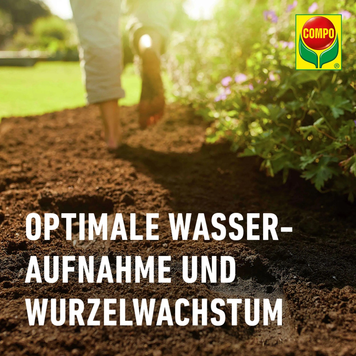 Compo Sana Pflanzerde 1 x 70 l_6