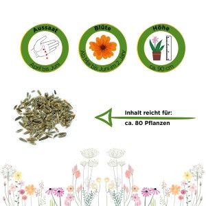 Samen der weißen Margerite 'Deine Gartenwelt': Aussaat, Blütezeit und Pflanzenhöhe dargestellt.