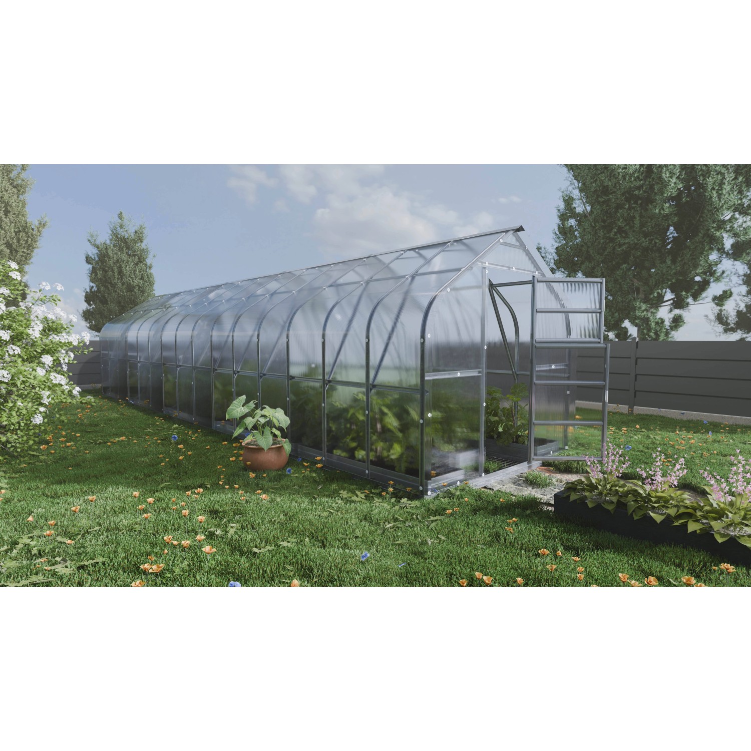 Klasika Greenhouses Standart KLASIKA Gewächshaus 30m2, 2,5m x 12m, 4 mm Pol günstig online kaufen