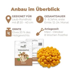Hawlik Pilzbrut Myzel Dübelbrut Toskanapilze für Pilzzucht im Garten auf Holzstämmen