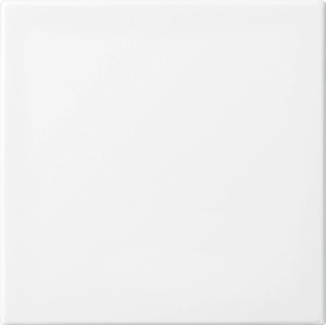 Busch-Jaeger Wippe Balance SI Alpinweiß für Schalter und Taster.