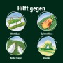 Compo Schädlingsfrei: Illustration verschiedener Schädlinge wie Blattläuse, Spinnmilben, Weiße Fliege und Raupen.