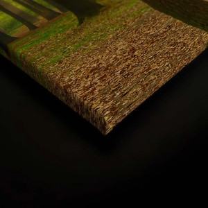 Bricoflor Leinwand „Herbstwald“ 90x60 cm: Romantisches Wandbild mit Waldmotiv für Wohn- und Büroräume.