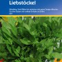 Kiepenkerl Maggikraut Liebstöckel Samenpackung mit frischen, grünen Liebstöckelblättern.