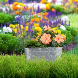 Relaxdays Blumenkasten Metall mit 2 Griffen 16 cm x 38 cm x 19 cm
