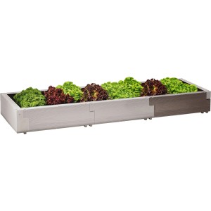 Juwel Hochbeet Timber 3er-Set Nordic Wood, bepflanzt mit Salat.