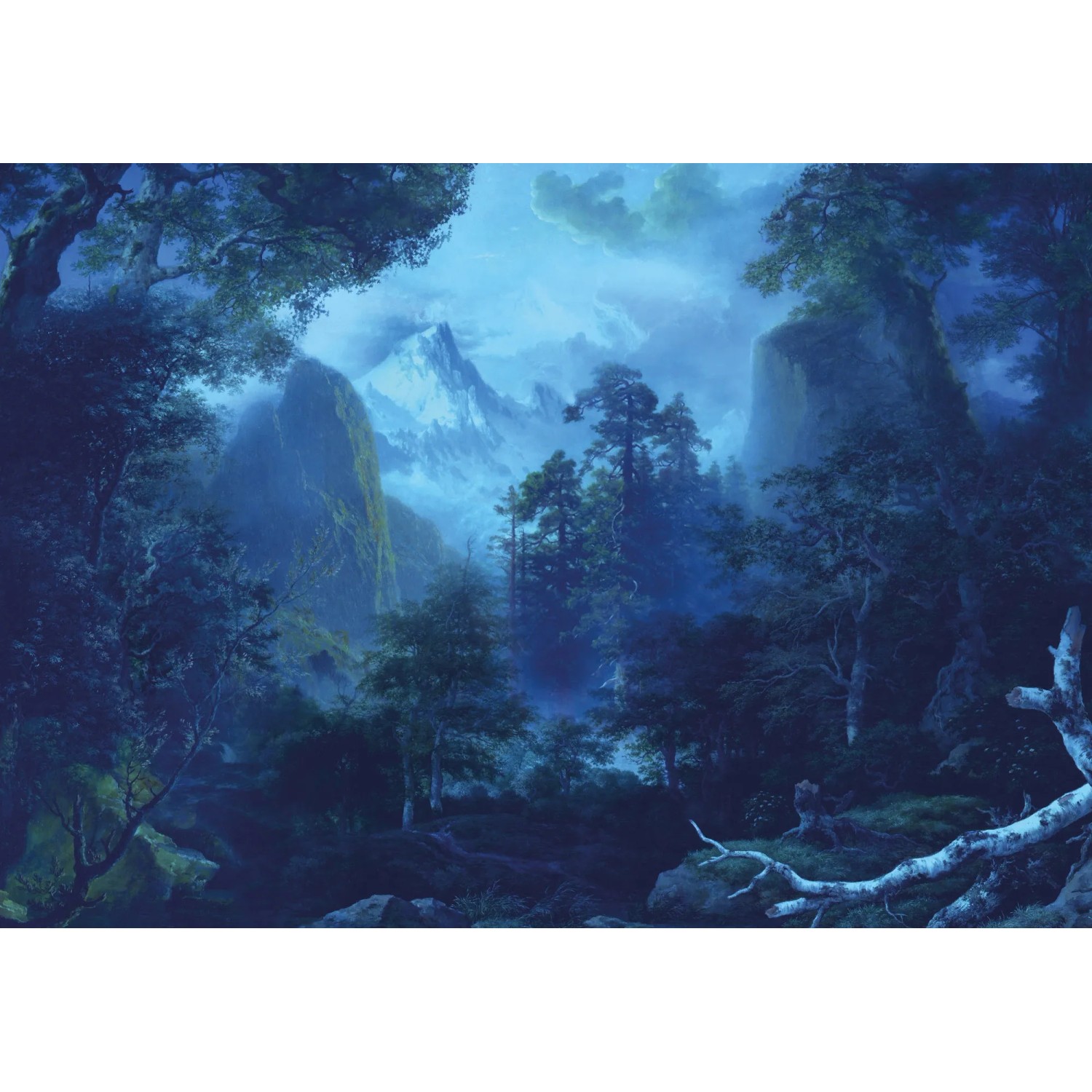 Komar Fototapete Vliestapete Midnight, glatt, bedruckt, geblümt, floral, realistisch, 400 x 280 cm