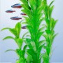 Tetra DecoArt Plant L Hygrophila, grüne Kunstpflanze für Aquarien, naturgetreue Nachbildung.