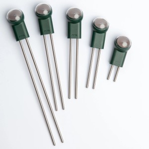 Fyta Bodenstäbe für 6 in 1 Pflanzensensor, 14 cm, aus rostfreiem Edelstahl.