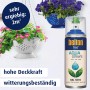 Belton Free AQUA Buntlack Spray RAL 5010 Enzianblau matt, mit Blumenampeln im Hintergrund.