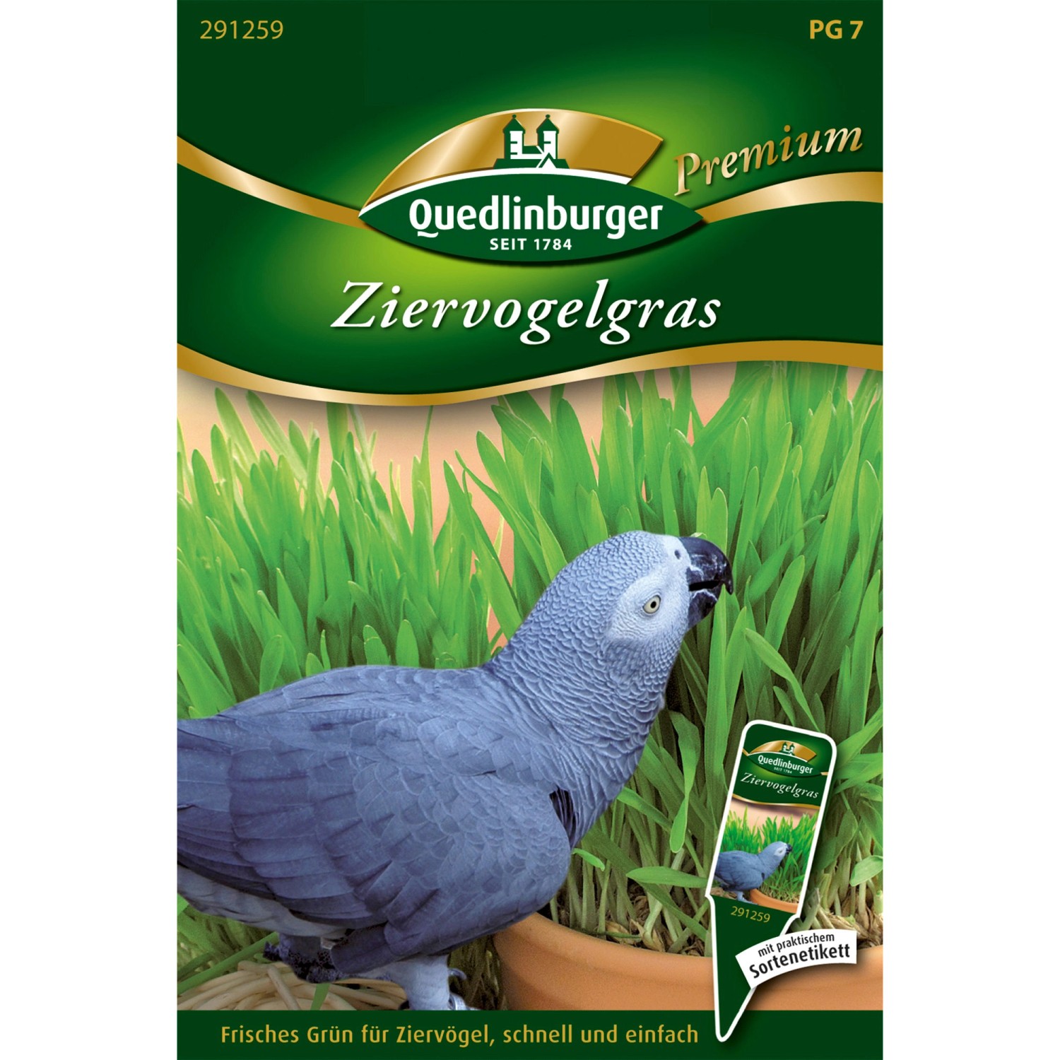 Quedlinburger Ziervogelgras Grün Loses Saatgut günstig online kaufen