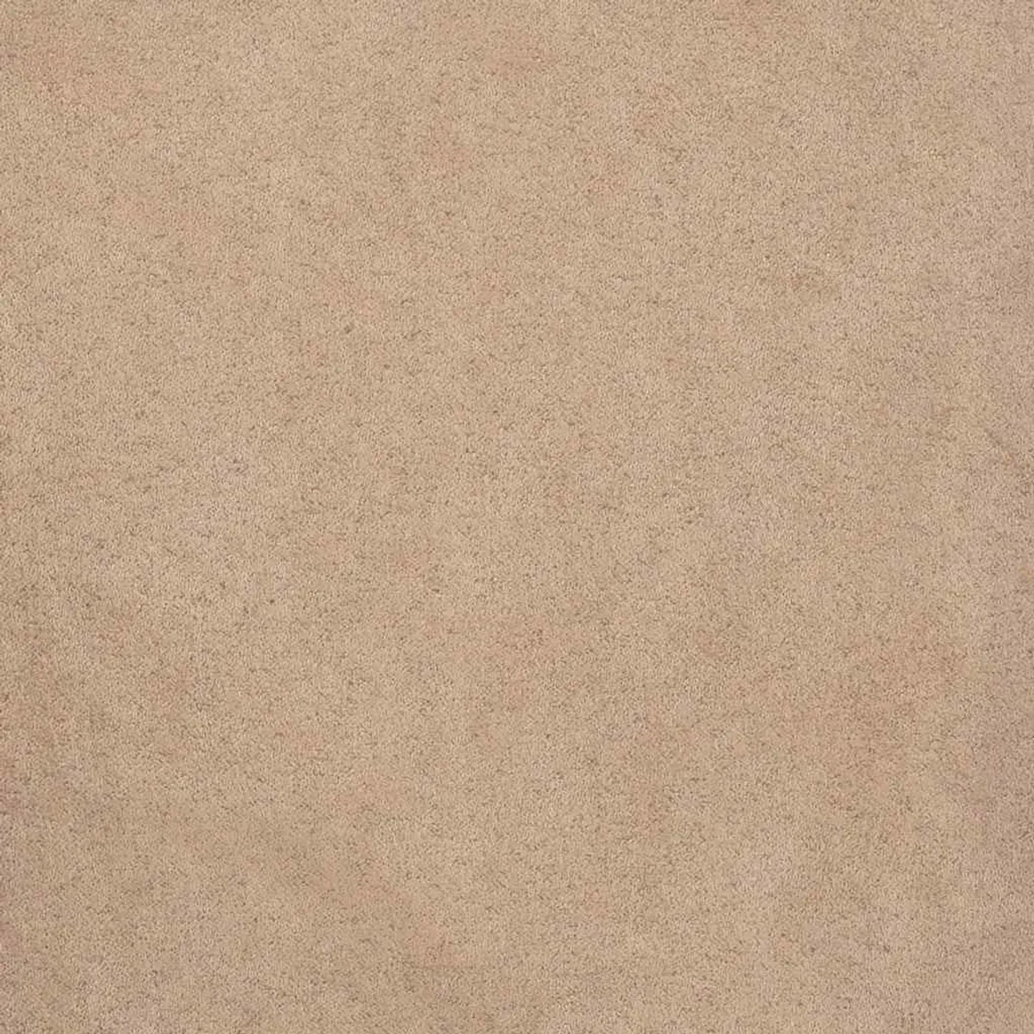 vidaXL Esszimmerstühle mit Kissen 2 Stk Weiß Massivholz Gummibaum 4102514_10
