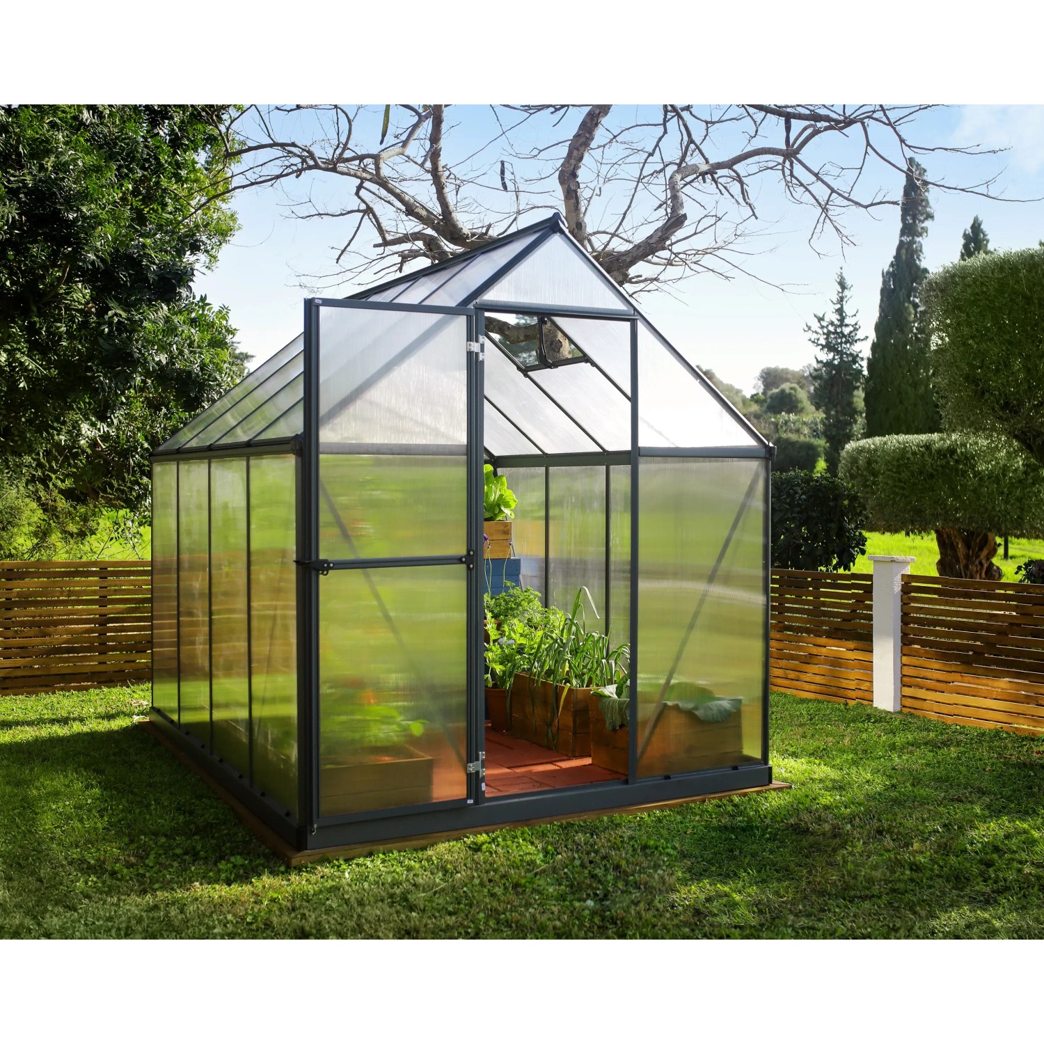 Graues Palram Canopia Gewächshaus 4,6 m² mit geöffneter Tür und Pflanzen im Garten.
