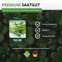 Pak Choi Samenpaket von Deine Gartenwelt mit Bild frischer Pflanzen. Premium Saatgut, gentechnikfrei, ungebeizt, ertragreich.