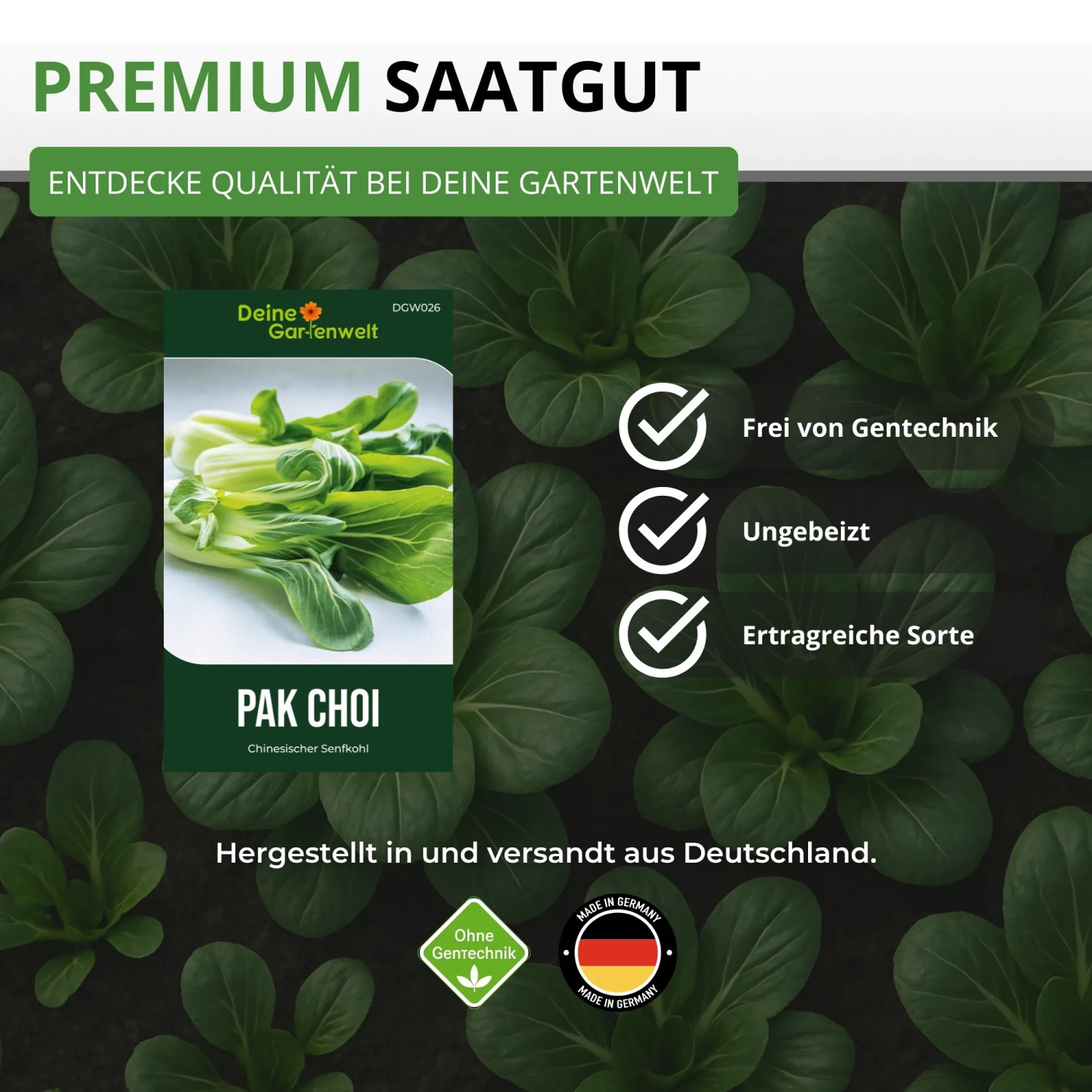 Pak Choi Samenpaket von Deine Gartenwelt mit Bild frischer Pflanzen. Premium Saatgut, gentechnikfrei, ungebeizt, ertragreich.
