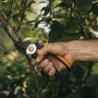Hand schneidet Ast mit Fiskars Amboss-Gartenschere P361 (orange-schwarz).