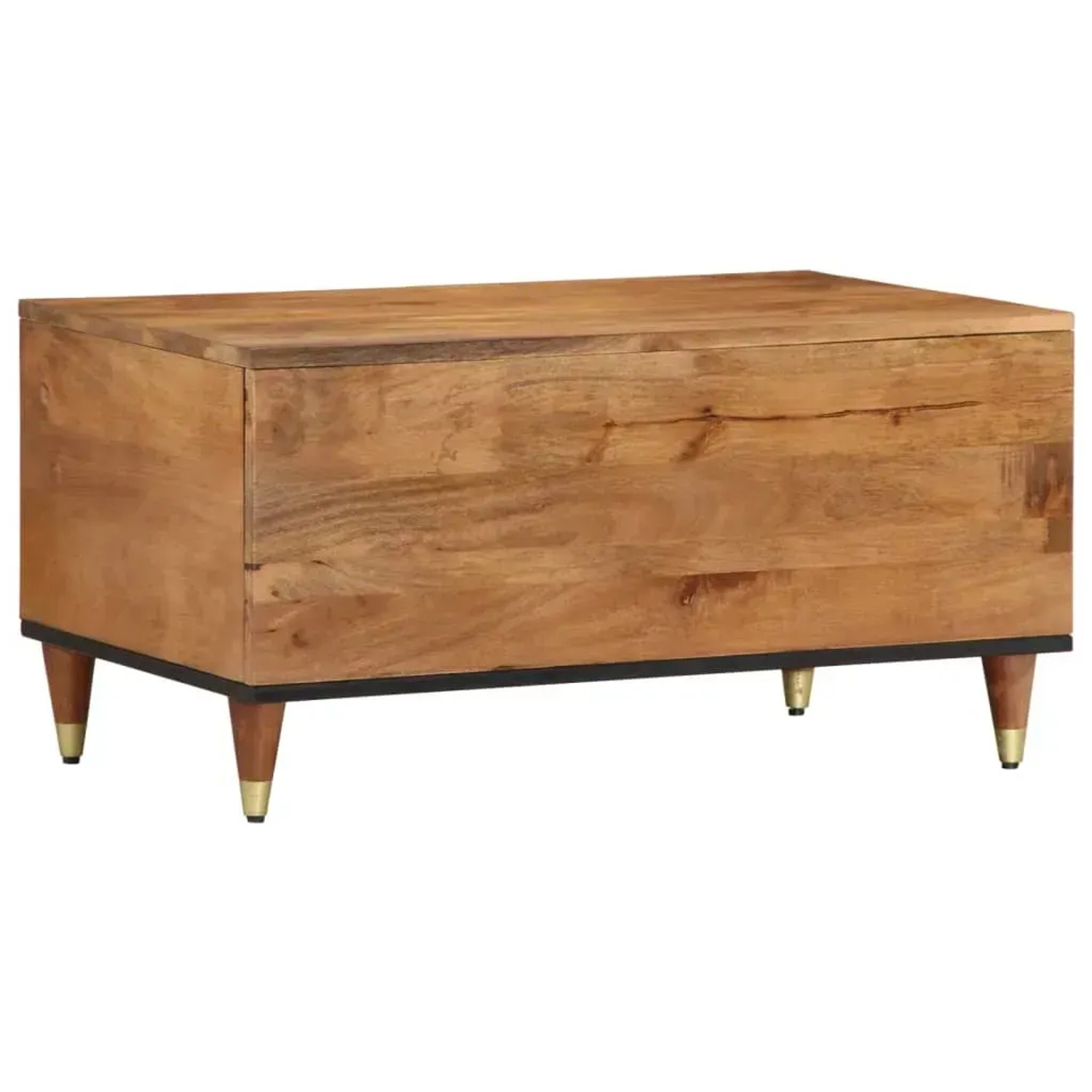 Couchtisch aus Mango-Massivholz, 80x50x40 cm, Modell 3. Tisch mit Stauraum und Tür.