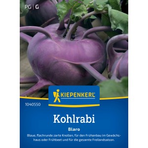 Kiepenkerl Kohlrabi Blaro: Blaue, runde Kohlrabiknolle im Detail.
