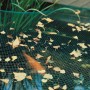 Grünes Teichnetz 3x2m über Teich mit Blättern, schützt vor Laub.
