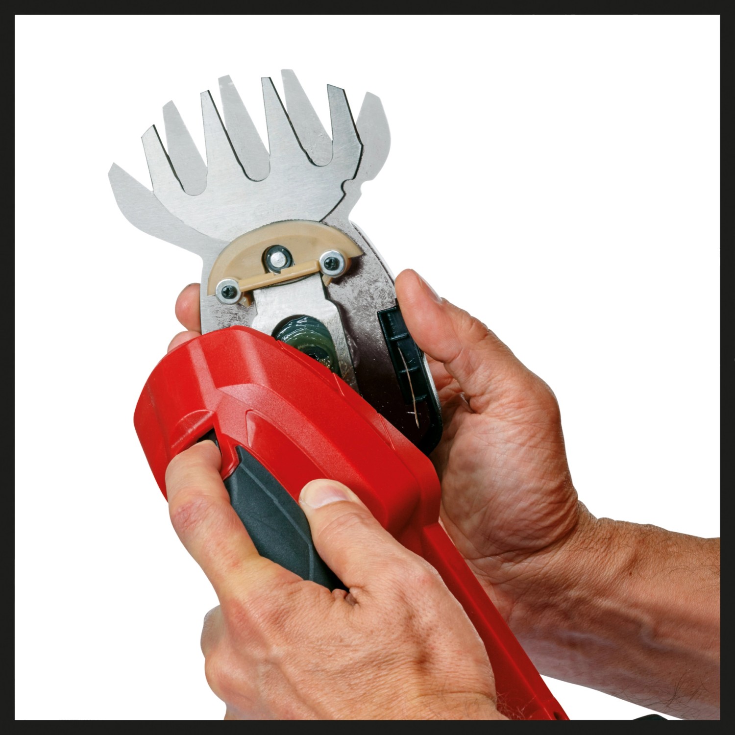 Einhell Akku-Gras- und Strauchschere GC-CG 18 Li Solo mit Strauchmesser im Detail.