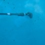 Pool-Handsauger im Einsatz unter Wasser. Kabelloser Poolsauger mit Teleskopstange.