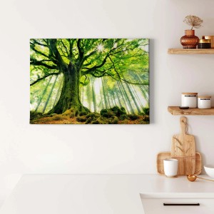 Wandbild Wald mit Sonnenstrahlen, grüne Leinwand, Baumkrone, ideal für Bad und Schlafzimmer.