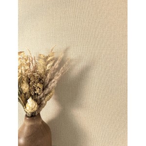 Newroom Vinyltapete Fenix Uni Beige Unifarbe Modern FSC®