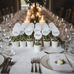 Vdvelde Mini Sukkulenten in weißen Keramiktöpfen mit Namensschildern, elegante Tischdekoration für Hochzeiten oder Events.