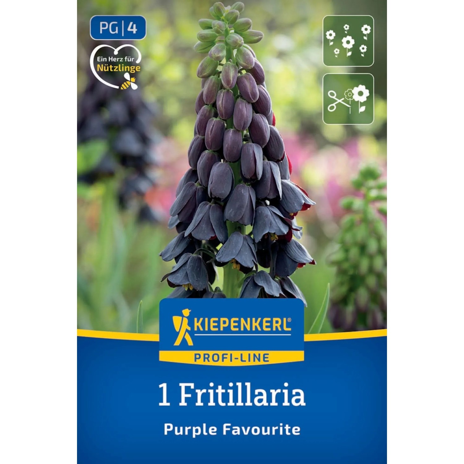 Kiepenkerl Blumenzwiebel ProfiLine Persische Kaiserkrone Purple Favourite 1 Stk