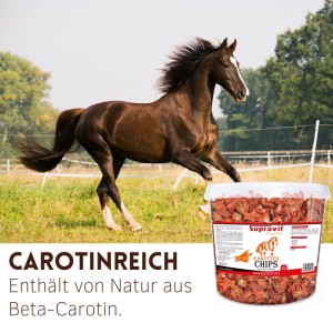 Supravit Karottenchips für Pferde Pferdeleckerlis