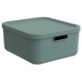 Rotho Multibox Albula 20 l in Mistletoe Green, Aufbewahrungsbox mit Deckel und Griffen.