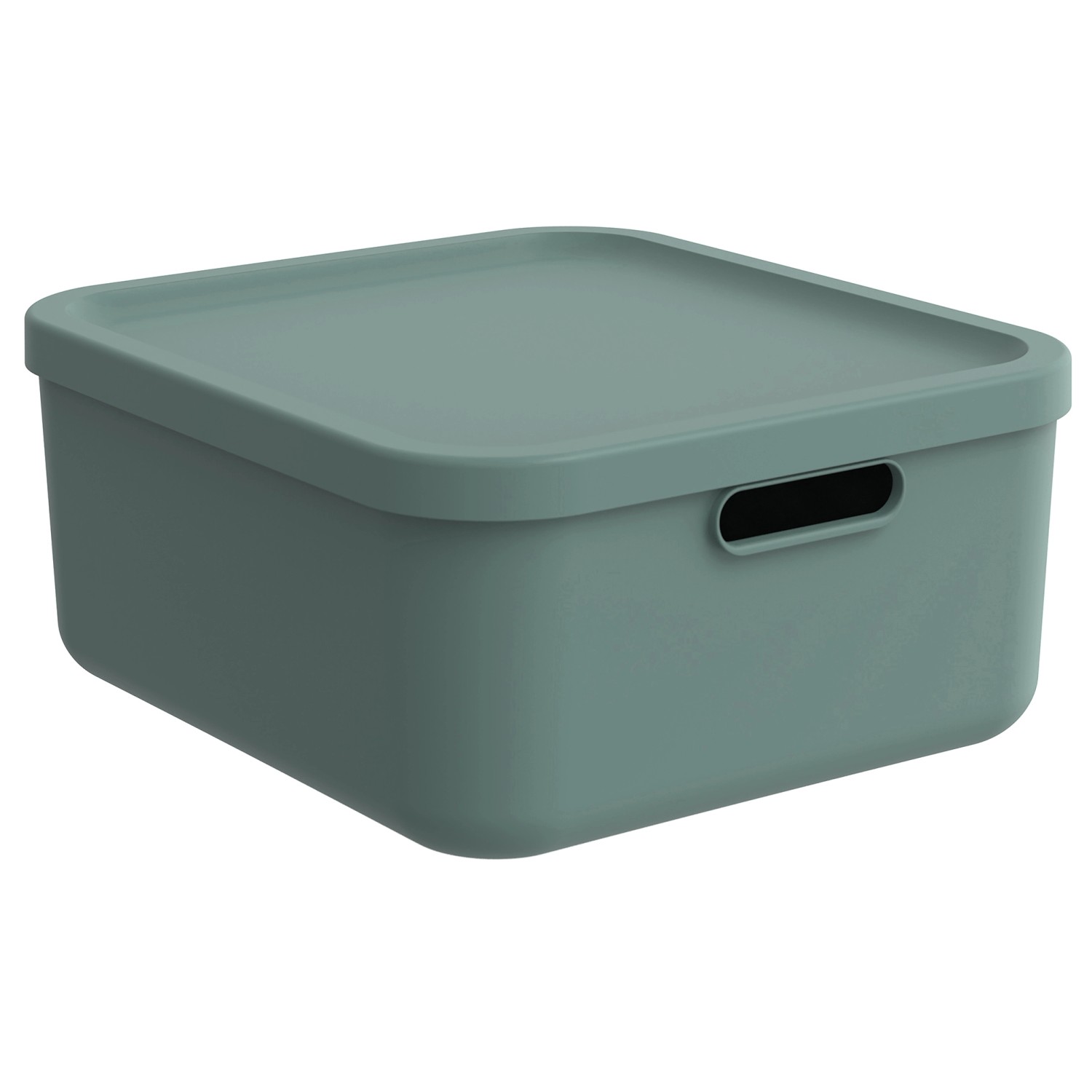 Rotho Multibox Albula 20, Mistletoe Green