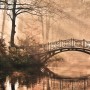 Fototapete: Brücke über Fluss im Wald, grüne und braune Naturlandschaft.
