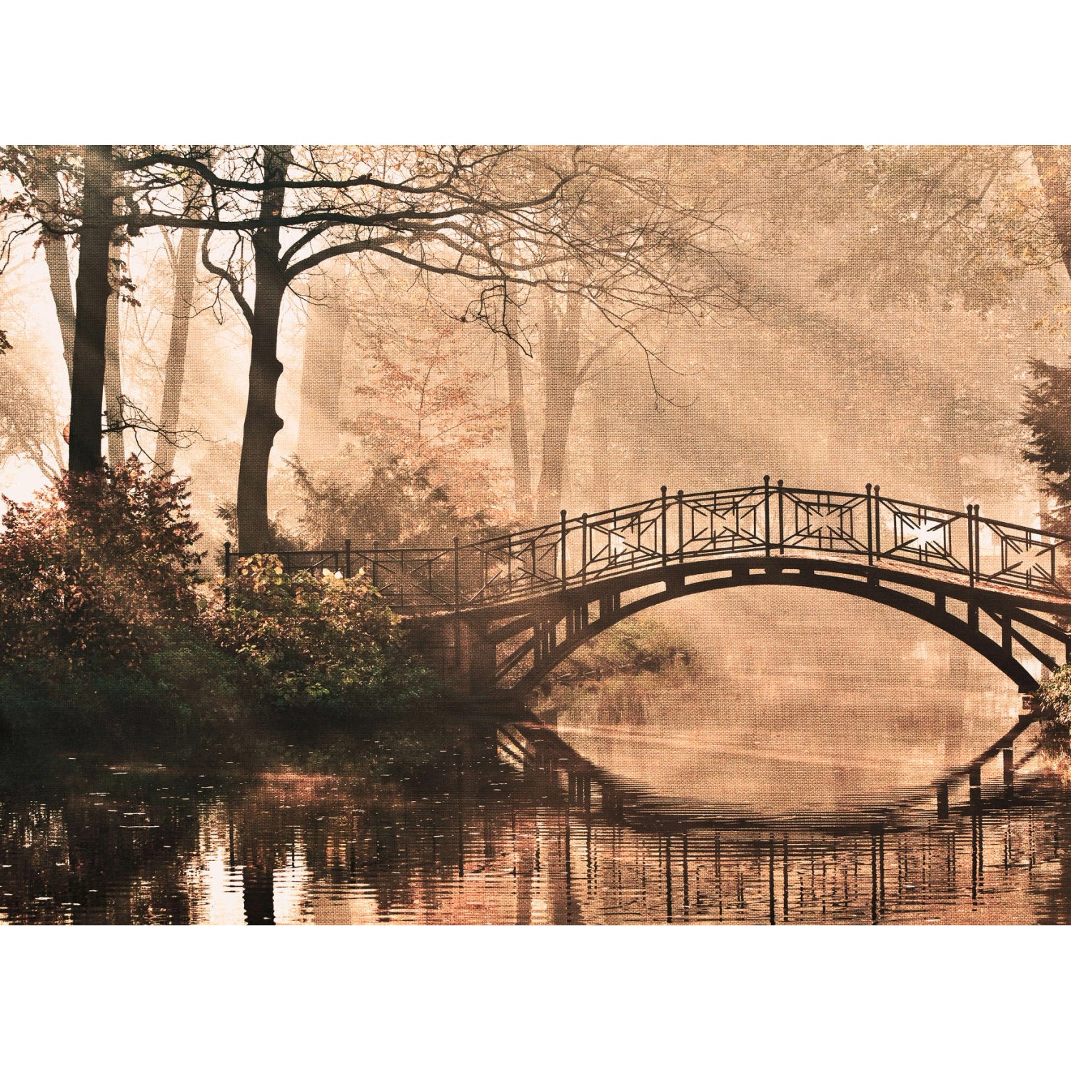 Fototapete Brücke Fluss Wald Grün Braun  3,50 m x 2,55 m FSC® günstig online kaufen