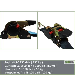 TRUTZHOLM Automatik Spanngurt mit Ratsche und Spitzhaken, 4er Set für Autoanhänger.