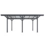Dunkelgrauer Juskys Carport 5x3 m mit Bogendach und Alu-Rahmen. Ideal als Wetterschutz für Fahrzeuge.