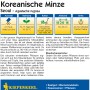 Samentüte Kiepenkerl Koreanische Minze Seoul. Aromatisches Saatgut für Kräuterfreunde.