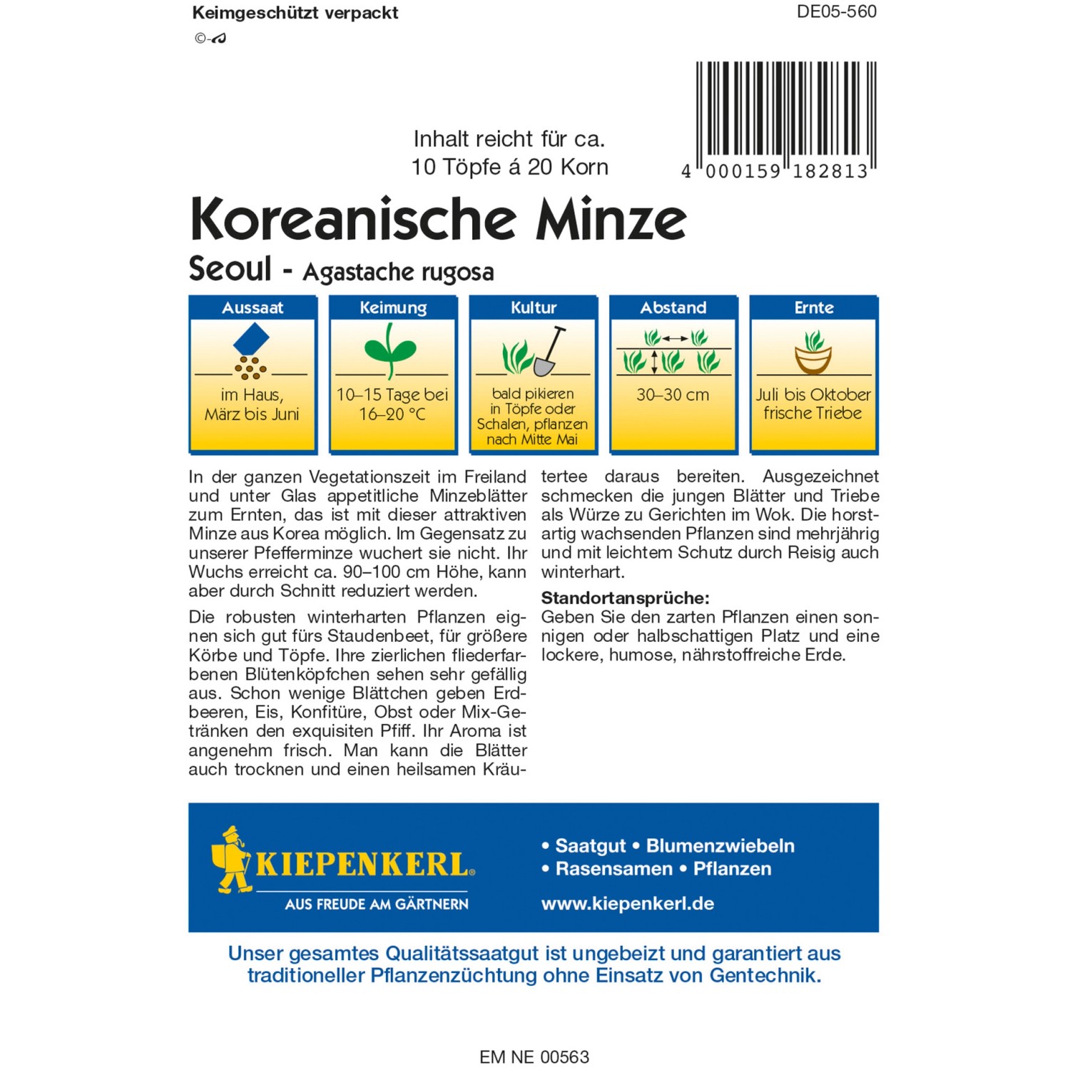 Samentüte Kiepenkerl Koreanische Minze Seoul. Aromatisches Saatgut für Kräuterfreunde.