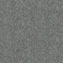 Glööckler Vliestapete mit Miniaturfedern in Mehrfarbig. Dekorative Tapete mit edlem Design.