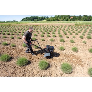 Al-Ko Motorhacke MH 540 Comfort bei der Bodenbearbeitung auf einem Feld.