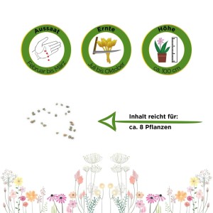 Infografik: Johannisbeertomaten Gemüsesamen. Aussaat Feb-März, Ernte Jul-Okt, Höhe ca. 100cm. Inhalt für ca. 8 Pflanzen.