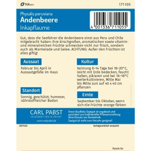 Saatguttüte Pabst Keimkraft Andenbeere Inkapflaume, Physalis peruviana für ca. 50 Pflanzen.