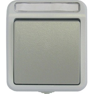 ASS AP/FR Taster IP54 für Feuchträume, Aufputz, lichtgraues Gehäuse, dunkelgraue Wippe.