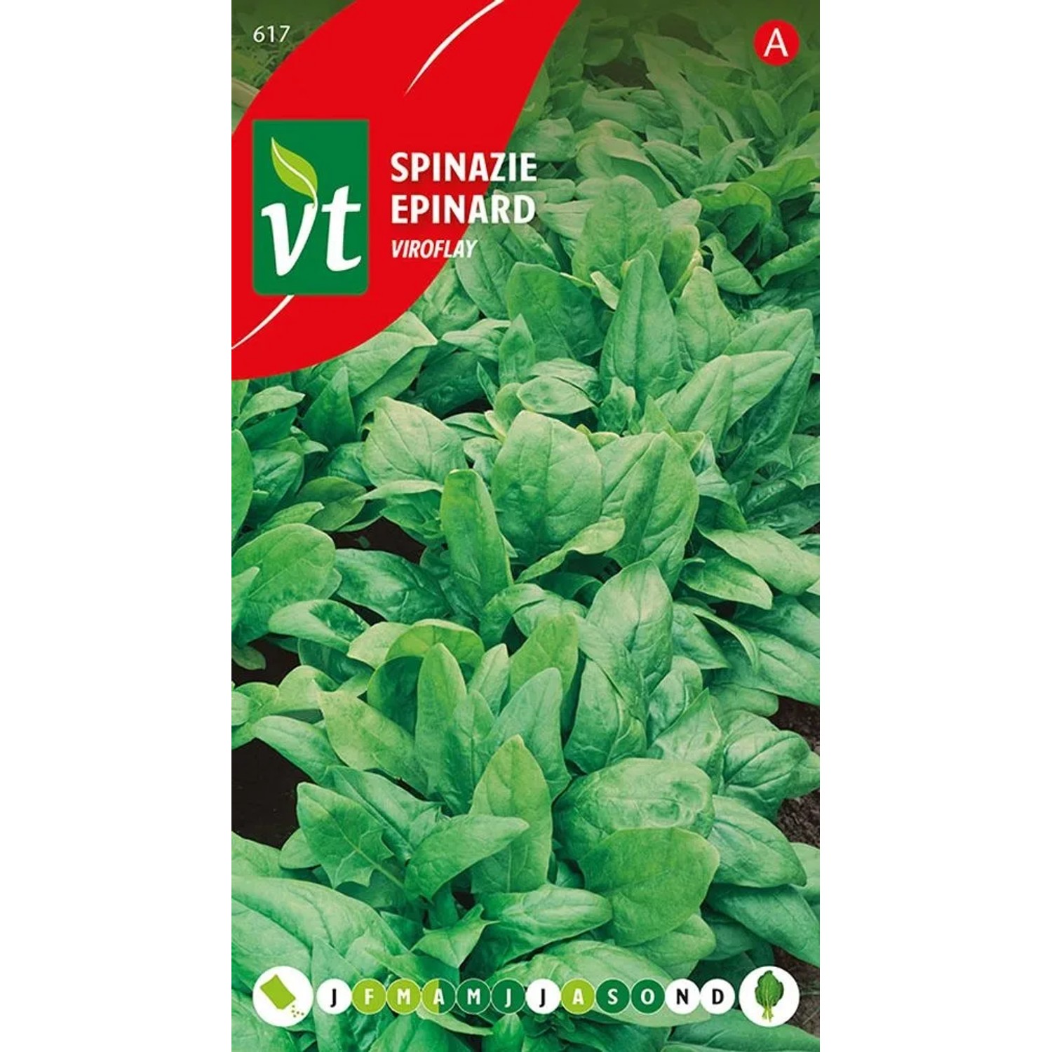 Spinat 'Viroflay' Saatgut ca. 14 g Großblättrig