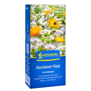 Kiepenkerl Gründünger Hochbeet Vital Mischung, blühende Sämereien im Beet.