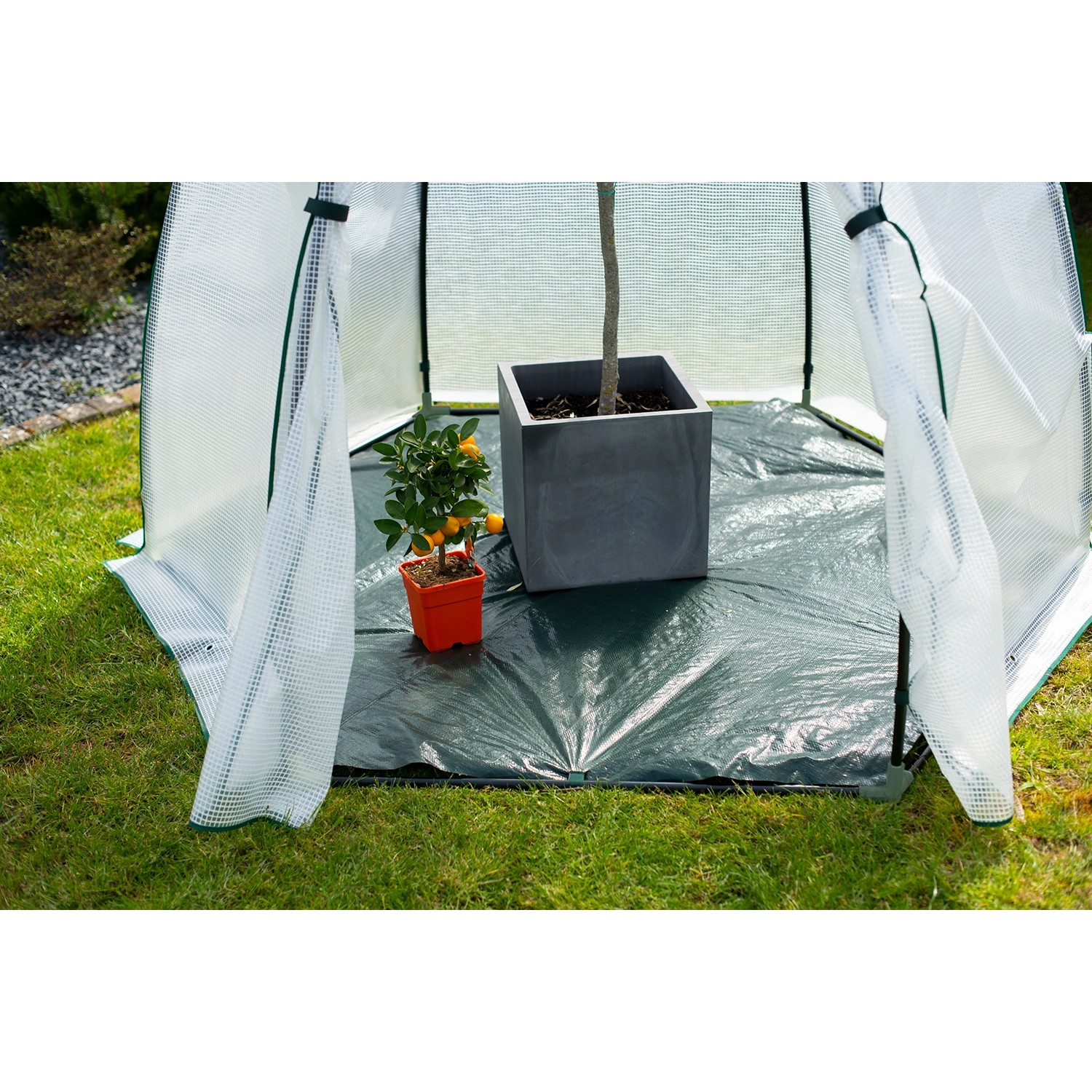 Westmann Überwinterungszelt Minze mit Pflanzen im Topf. Foliengewächshaus für den Winter.