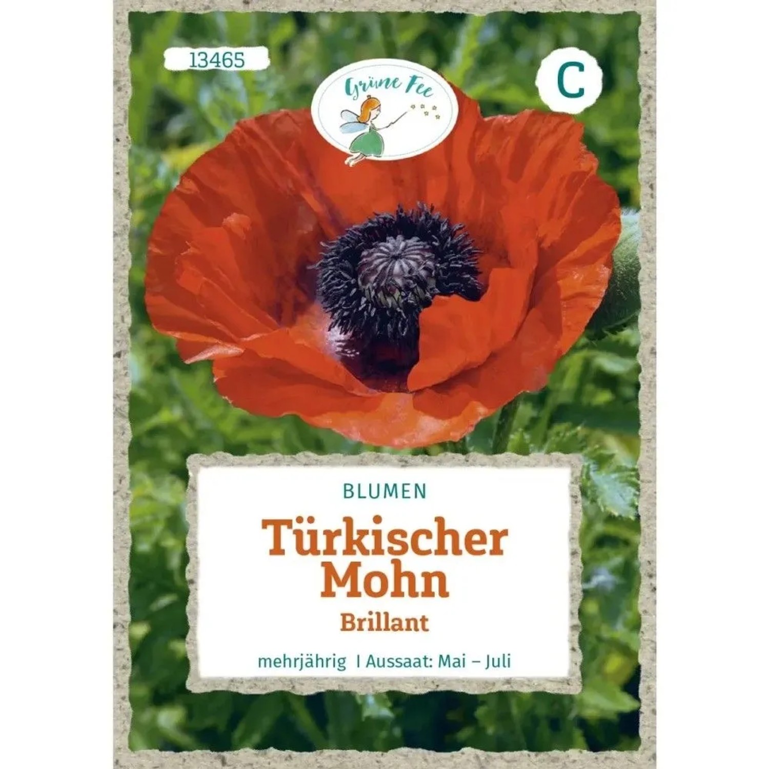 Grüne Fee Türkischer Mohn Brillant Saatgut