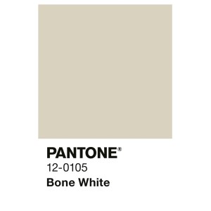 Alpina Innenfarbe Pantone Bone White Farbmuster. Helles Elfenbein-Quadrat mit Pantone-Logo und Farbcode 12-0105.