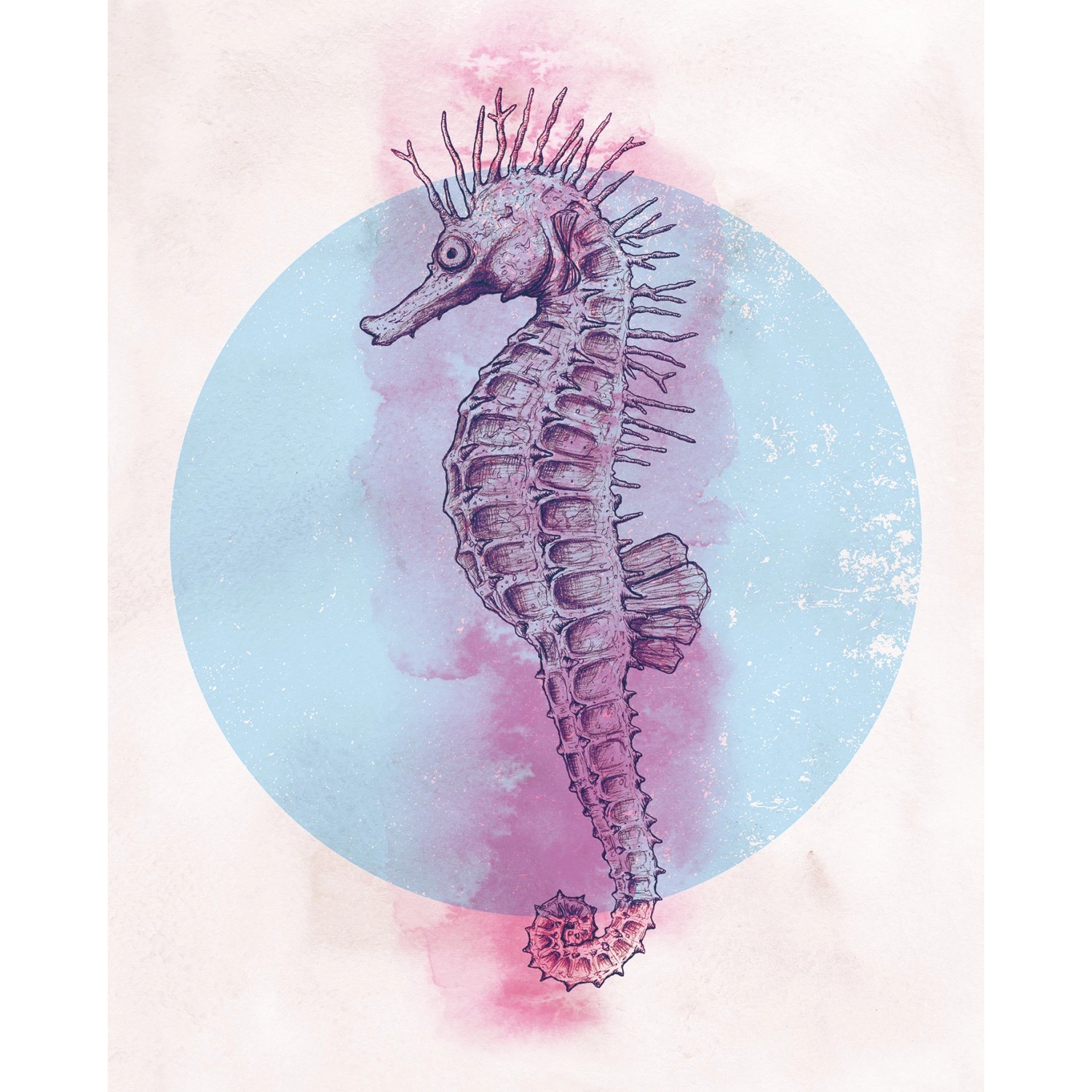 Komar Wandbild Sea Horse Circle 40 x 50 cm günstig online kaufen